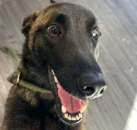 Photo of Mama Pippa (NE)