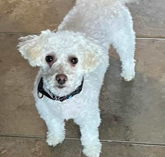 Photo of Qtip