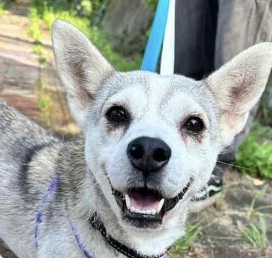 Photo of Momo