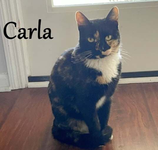 Photo of Carla