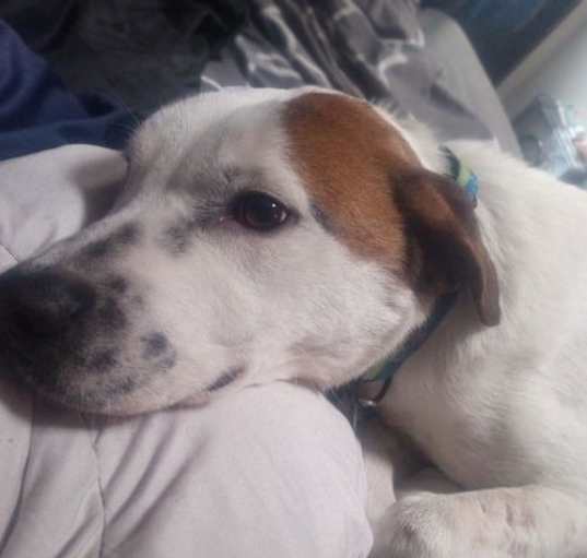 Photo of Bingo