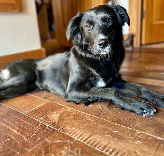 Photo of Maude