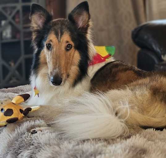 Photo of Beau
