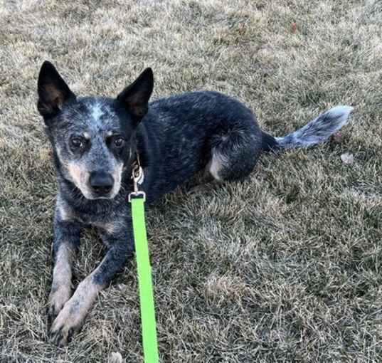 Photo of Jack