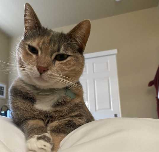 Photo of Keke