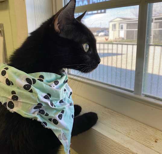 Photo of Hattie