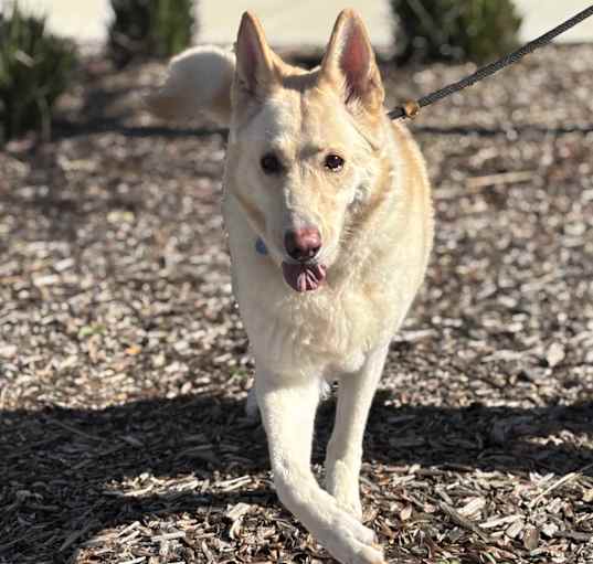Photo of Roxy