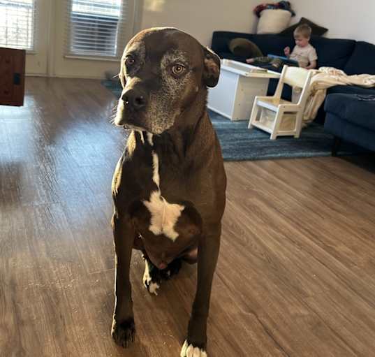 Photo of Zero