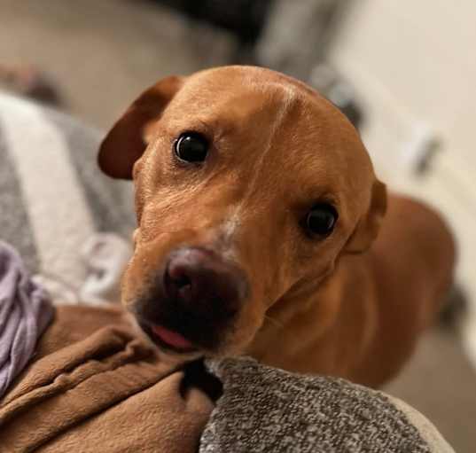 Photo of Zeus