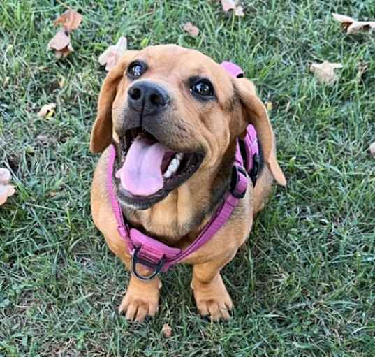 Photo of Ellie