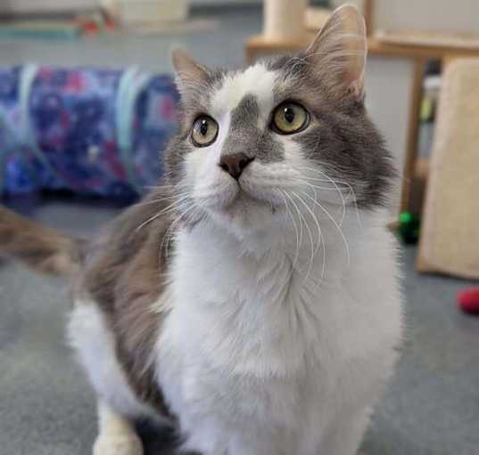 Photo of Winston