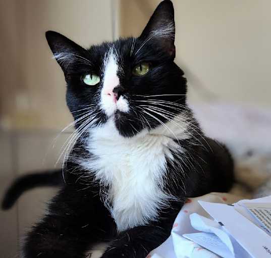 Photo of Boots