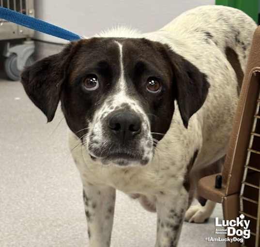 Photo of Lucy