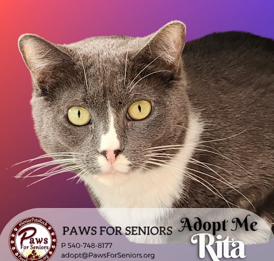 Photo of Rita