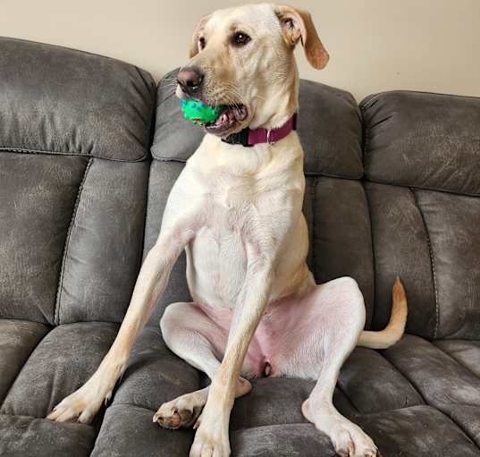 Photo of Delilah