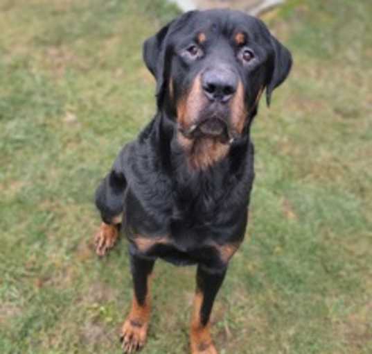 Photo of Mister