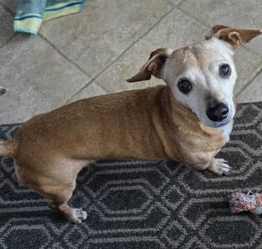 Photo of Hope