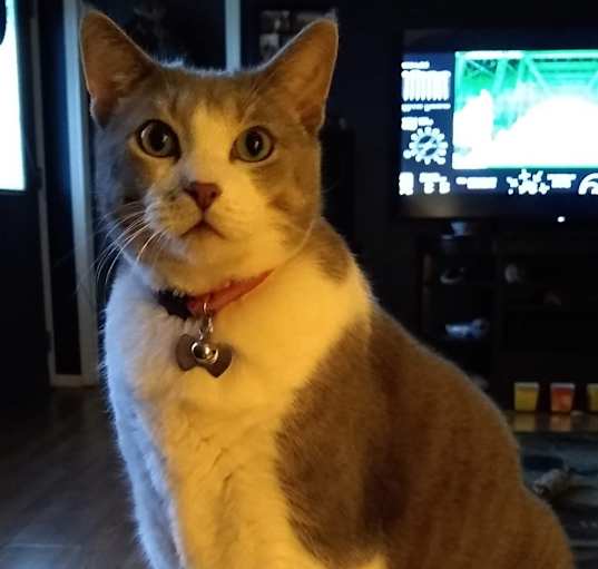 Photo of Max