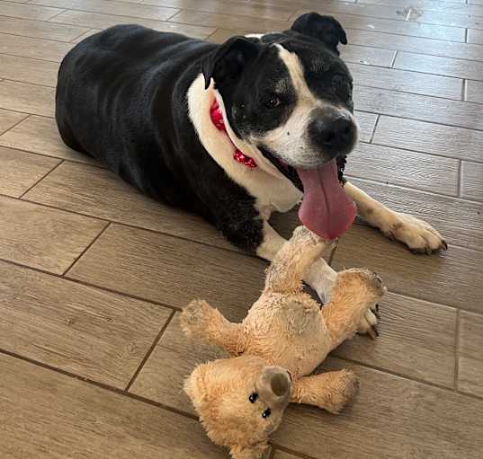 Photo of Tori A4807300