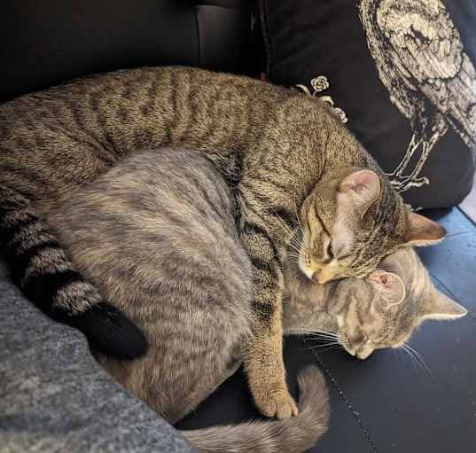 Photo of Twyla and Alexis