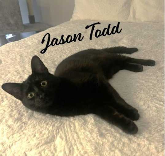 Photo of Jason Todd #Batman-litter
