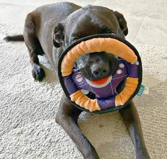 Photo of Maggie