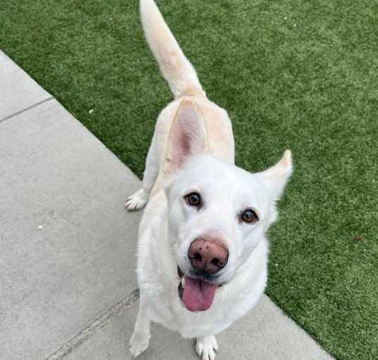 Photo of CASPER