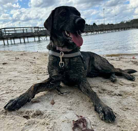 Photo of Bama