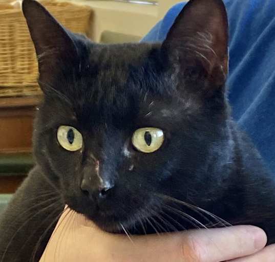 Photo of Lonnie
