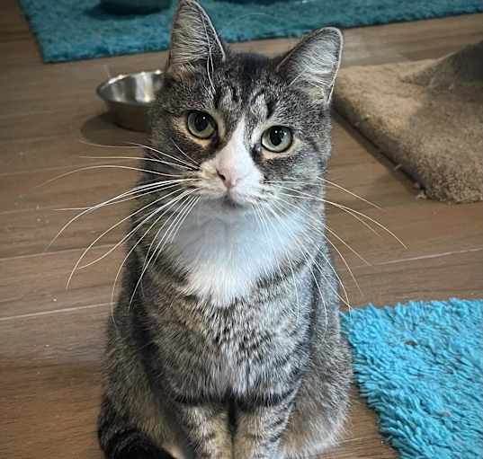 Photo of Penelope