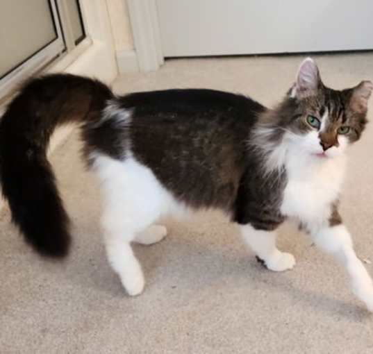 Photo of Violet SENIOR FEMALE