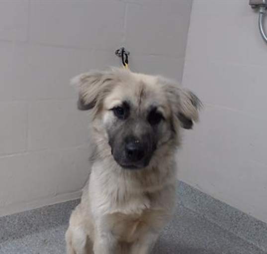 Photo of LUCY
