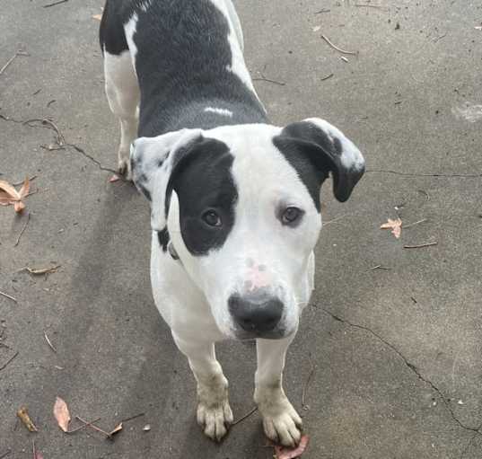 Photo of Zeus