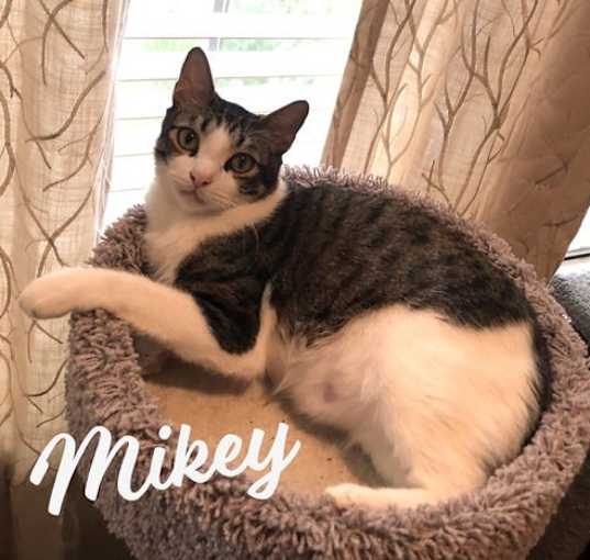 Photo of Mikey #he-eats-anything