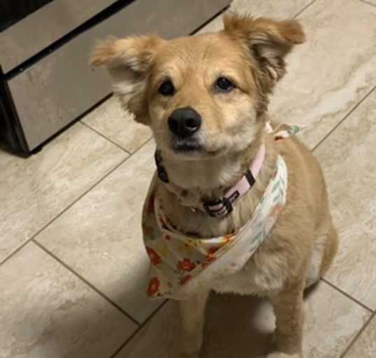 Photo of xena