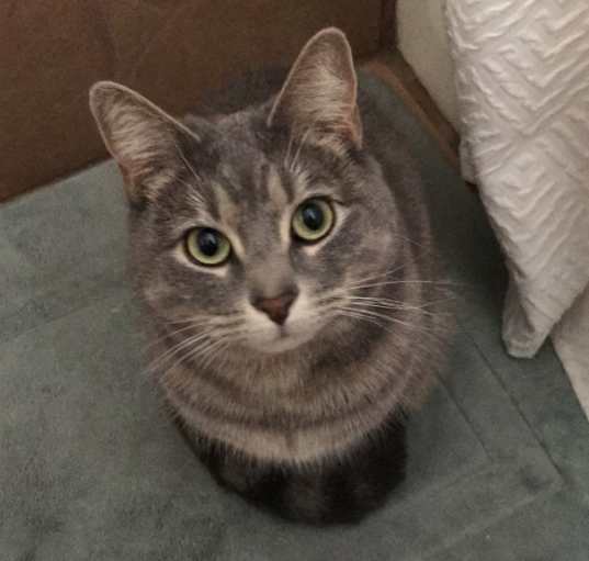 Photo of Emma