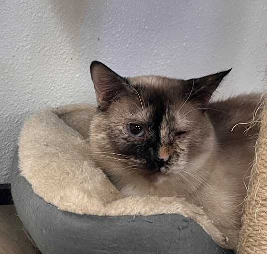 Photo of Liza