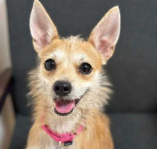 Photo of Miss Maggie