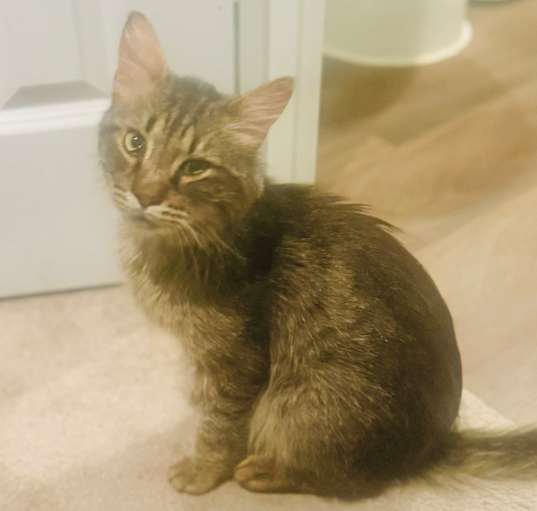Photo of Fizz