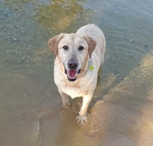 Photo of Frankie