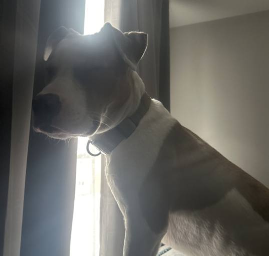 Photo of Theo