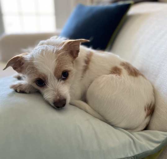 Photo of Zoe