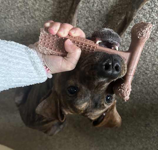 Photo of Rylo