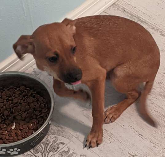 Photo of Sally