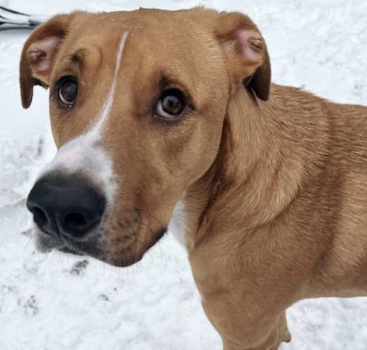 Photo of Milo