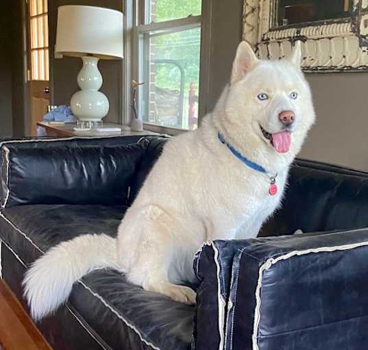 Photo of Astro-rehome