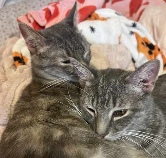 Photo of Kimmy & Walter