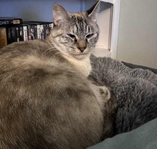 Photo of Precious