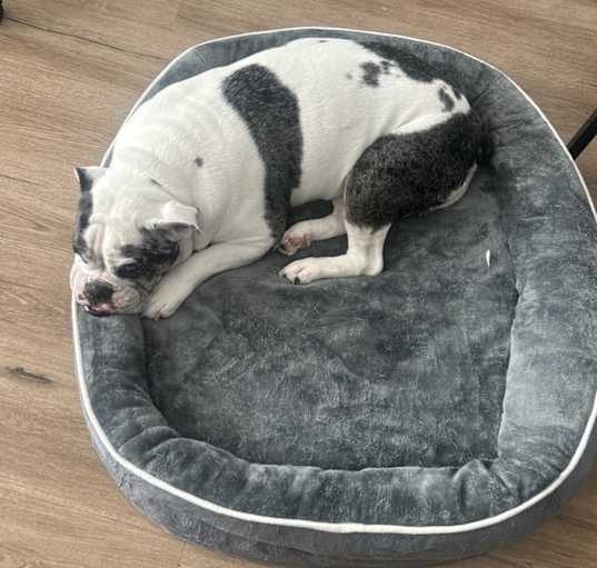 Photo of Lucy