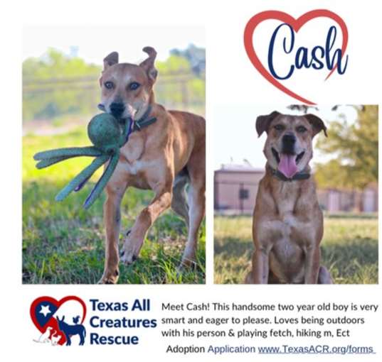 Photo of Cash